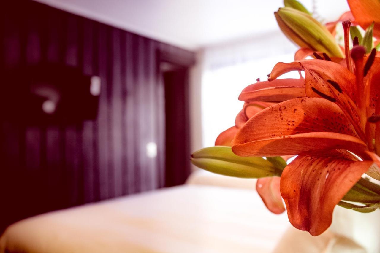 Newen B&B Pucón Εξωτερικό φωτογραφία