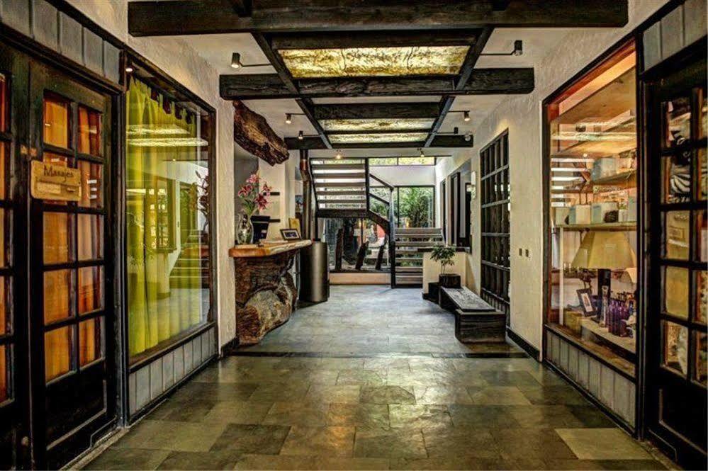 Newen B&B Pucón Εξωτερικό φωτογραφία
