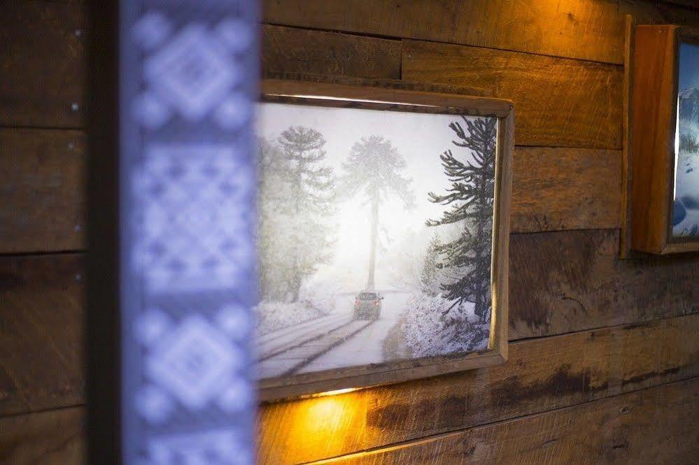 Newen B&B Pucón Εξωτερικό φωτογραφία